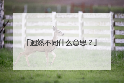 迥然不同什么意思？