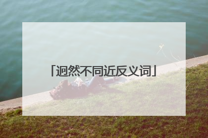 迥然不同近反义词