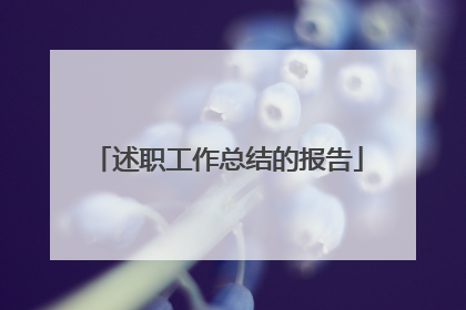 述职工作总结的报告