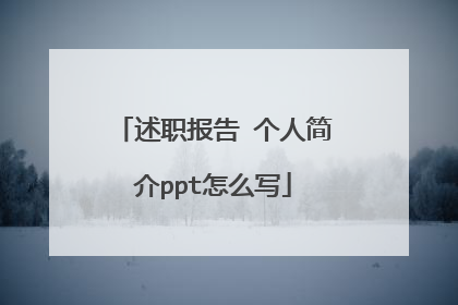 述职报告 个人简介ppt怎么写