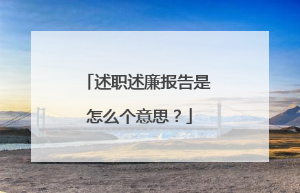 述职述廉报告是怎么个意思?