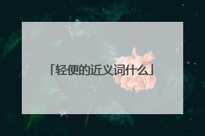 轻便的近义词什么