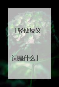 轻便反义词是什么