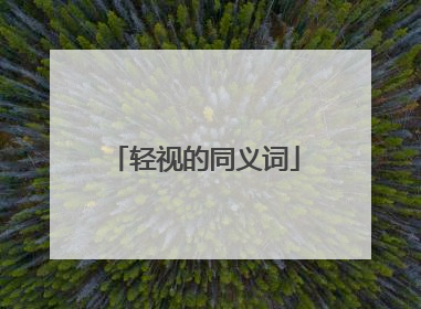 轻视的同义词
