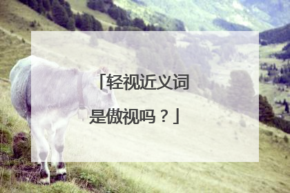 轻视近义词是傲视吗？