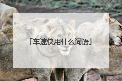 车速快用什么词语