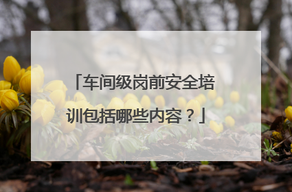 车间级岗前安全培训包括哪些内容？