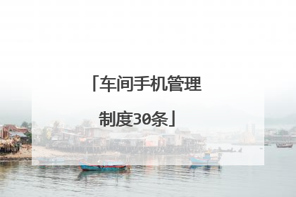 车间手机管理制度30条