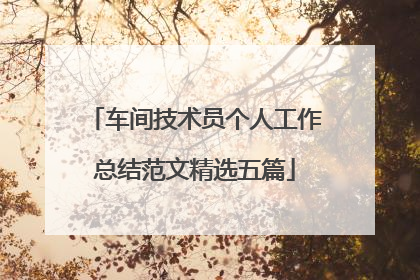 车间技术员个人工作总结范文精选五篇