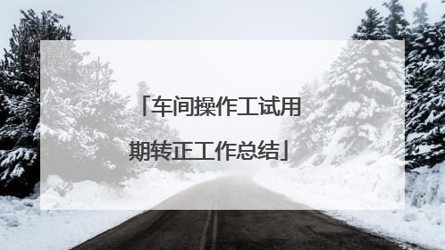 车间操作工试用期转正工作总结