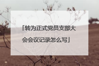 转为正式党员支部大会会议记录怎么写