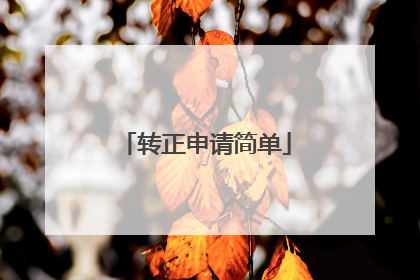 转正申请简单