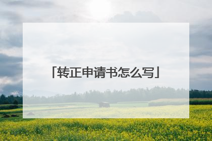 转正申请书怎么写