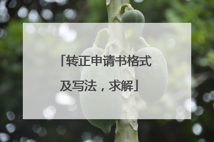 转正申请书格式及写法,求解