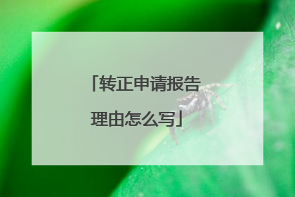 转正申请报告理由怎么写