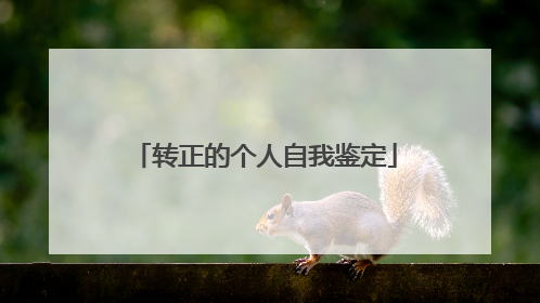 转正的个人自我鉴定