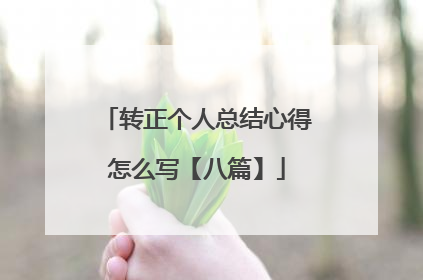 转正个人总结心得怎么写【八篇】