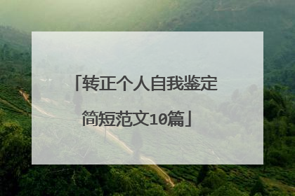 转正个人自我鉴定简短范文10篇