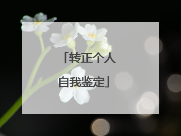 转正个人自我鉴定