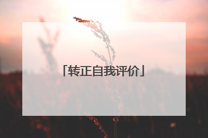 转正自我评价