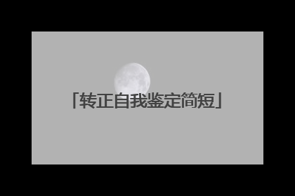 转正自我鉴定简短