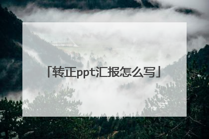 转正ppt汇报怎么写