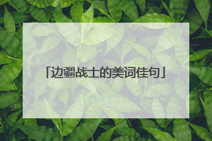 边疆战士的美词佳句