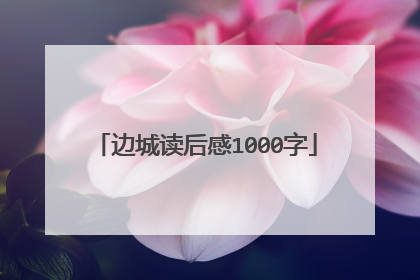 边城读后感1000字