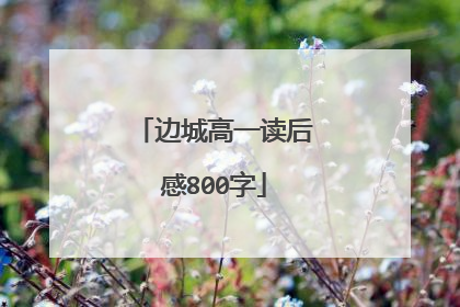 边城高一读后感800字