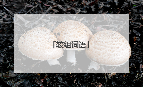 较组词语