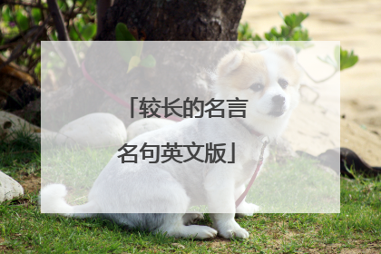 较长的名言名句英文版