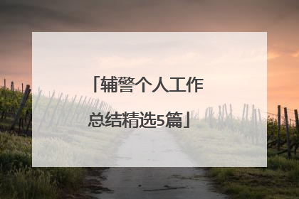 辅警个人工作总结精选5篇