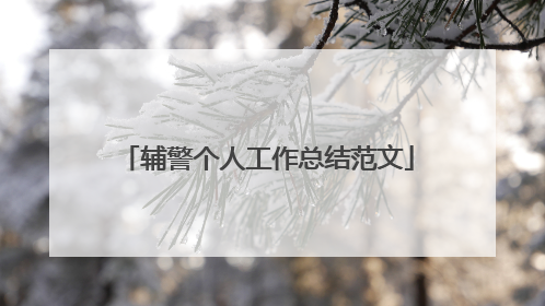 辅警个人工作总结范文