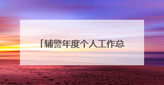 辅警年度个人工作总结精选9篇(2)