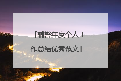 辅警年度个人工作总结优秀范文