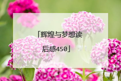 辉煌与梦想读后感450