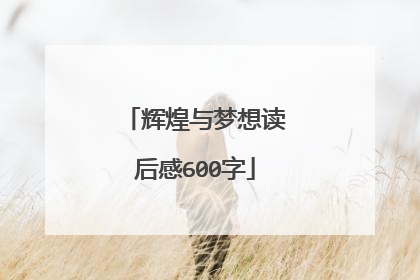辉煌与梦想读后感600字
