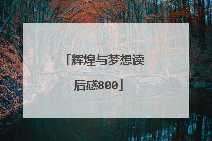 辉煌与梦想读后感800