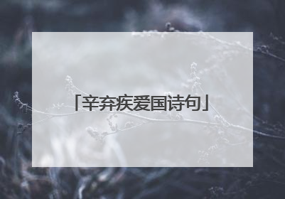 辛弃疾爱国诗句