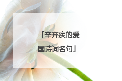 辛弃疾的爱国诗词名句