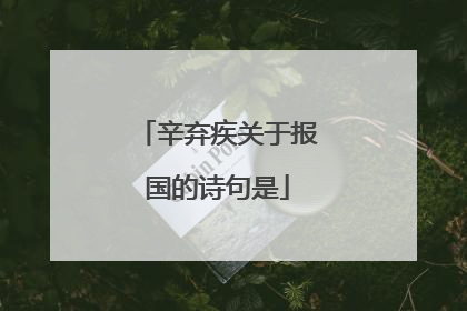 辛弃疾关于报国的诗句是