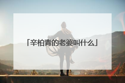 辛柏青的老婆叫什么