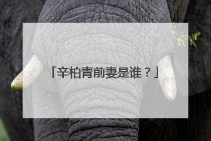 辛柏青前妻是谁?