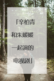 辛柏青和朱媛媛一起演的电视剧