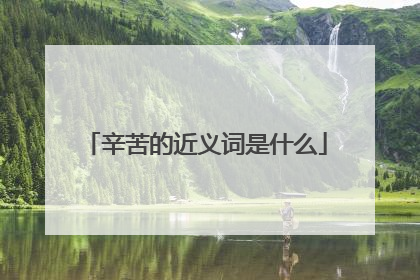 辛苦的近义词是什么