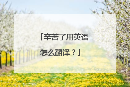 辛苦了用英语怎么翻译？