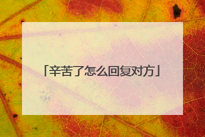 辛苦了怎么回复对方