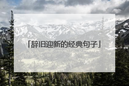 辞旧迎新的经典句子