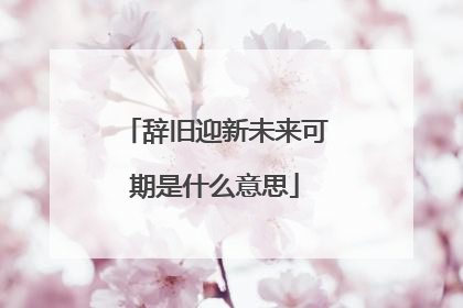辞旧迎新未来可期是什么意思