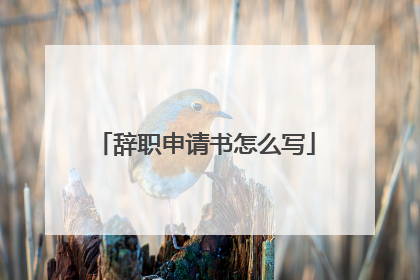 辞职申请书怎么写